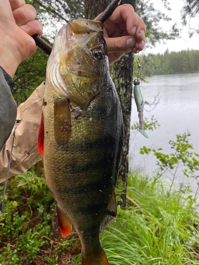 Saimaa Raikala Villa Vuoriniemi Exteriör bild